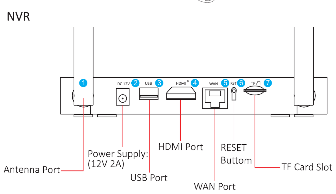 NVR arka panel şeması