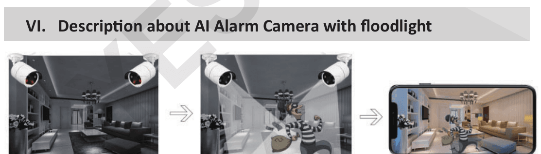 Telecamera con allarme IA e faretto: immagine in bianco e nero, faretto in caso di allarme, notifica push sul telefono